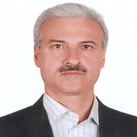 Mir Hamid Salehian